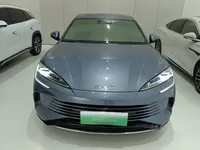 BYD Seal 2024 (53500 км)