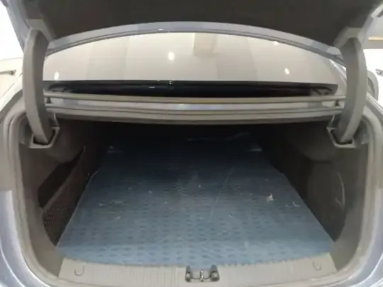 BYD Seal 2024 (53500 км)