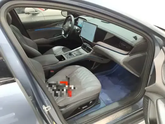 BYD Seal 2024 (53500 км)