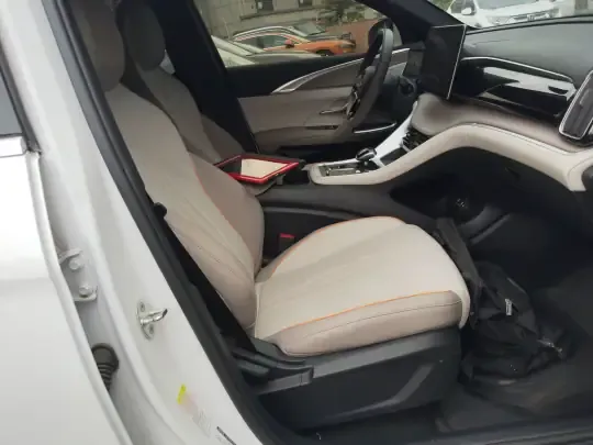 BYD Song Pro New Energy 2024 (29300 км)