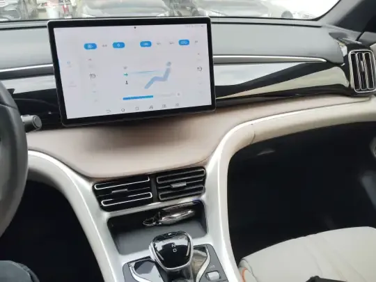 BYD Song Pro New Energy 2024 (29300 км)