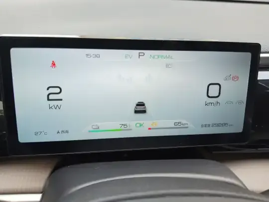 BYD Song Pro New Energy 2024 (29300 км)