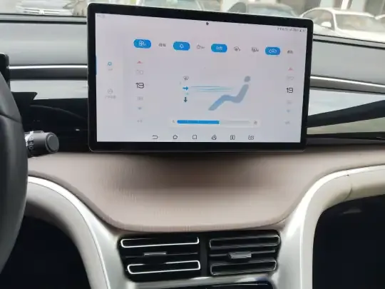 BYD Song Pro New Energy 2024 (29300 км)