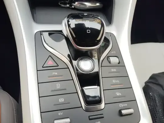 BYD Song Pro New Energy 2024 (29300 км)