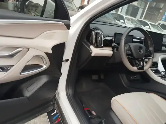 BYD Song Pro New Energy 2024 (29300 км)