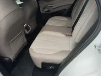 BYD Song Pro New Energy 2024 (29300 км)