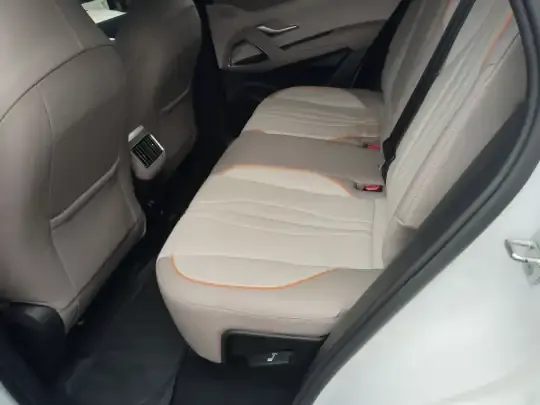 BYD Song Pro New Energy 2024 (29300 км)