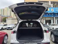 BYD Song Pro New Energy 2024 (29300 км)