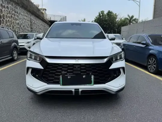 BYD Song Pro New Energy 2024 (29300 км)
