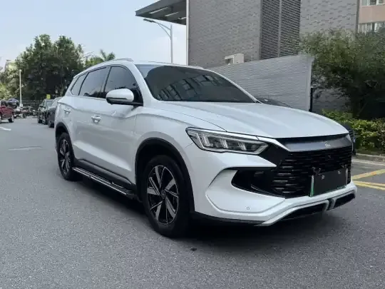 BYD Song Pro New Energy 2024 (29300 км)