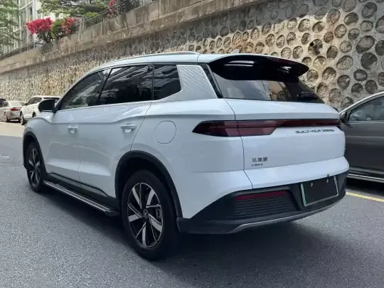 BYD Song Pro New Energy 2024 (29300 км)