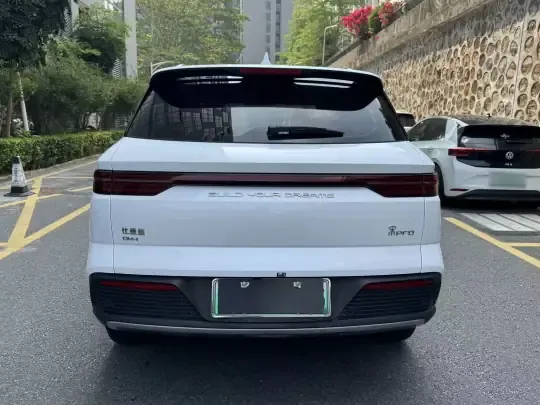 BYD Song Pro New Energy 2024 (29300 км)