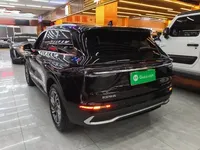 Lincoln Corsair 2024 (9300 км)