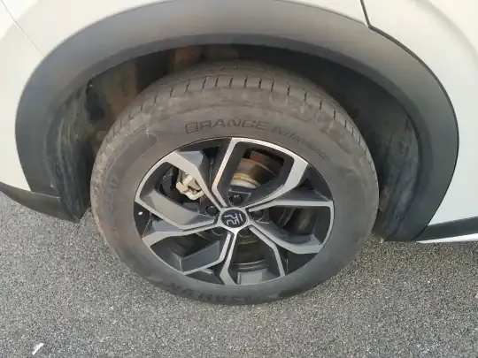 BYD Yuan PLUS 2024 (13100 км)