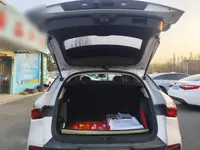 BYD Yuan PLUS 2024 (13100 км)