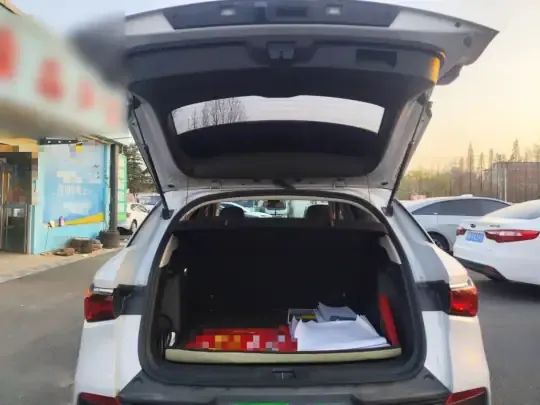 BYD Yuan PLUS 2024 (13100 км)