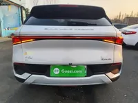BYD Yuan PLUS 2024 (13100 км)