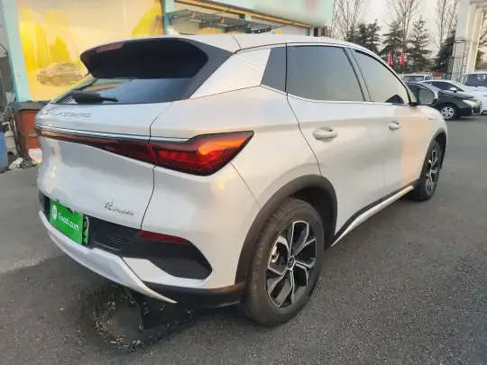 BYD Yuan PLUS 2024 (13100 км)