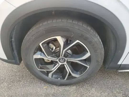 BYD Yuan PLUS 2024 (13100 км)