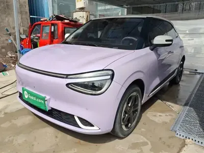 Dongfeng NAMMI 01 2024 (14800 км)