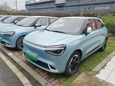 Dongfeng NAMMI 01 2024 (12300 км)