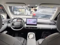 Dongfeng NAMMI 01 2024 (12300 км)