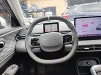 Dongfeng NAMMI 01 2024 (12300 км)