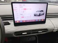 Dongfeng NAMMI 01 2024 (12300 км)