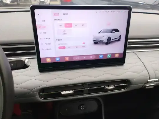 Dongfeng NAMMI 01 2024 (12300 км)