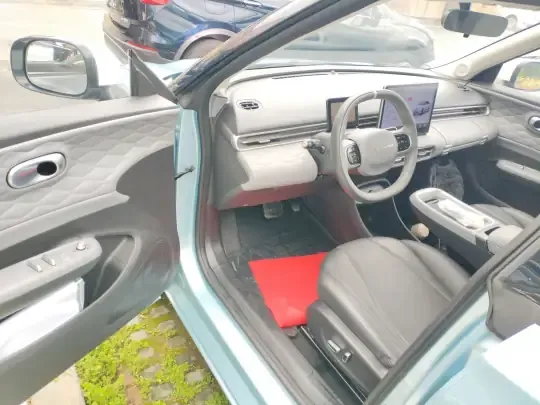 Dongfeng NAMMI 01 2024 (12300 км)