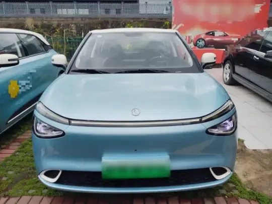 Dongfeng NAMMI 01 2024 (12300 км)