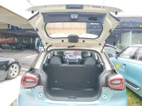 Dongfeng NAMMI 01 2024 (12300 км)