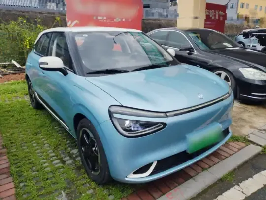 Dongfeng NAMMI 01 2024 (12300 км)