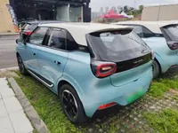 Dongfeng NAMMI 01 2024 (12300 км)