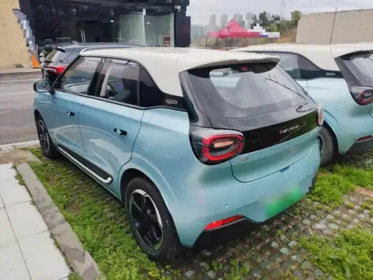 Dongfeng NAMMI 01 2024 (12300 км)