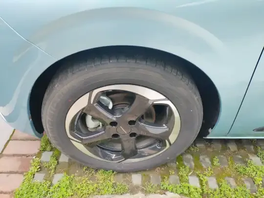 Dongfeng NAMMI 01 2024 (12300 км)
