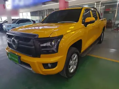 Great Wall King Kong Poer 2024 (16700 км)