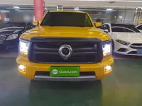 Great Wall King Kong Poer 2024 (16700 км)