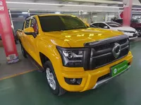 Great Wall King Kong Poer 2024 (16700 км)