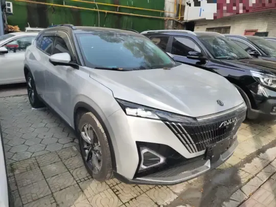 Dongfeng Aeolus Mage 2024 (6500 км)