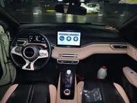 BYD Seagull 2024 (10300 км)
