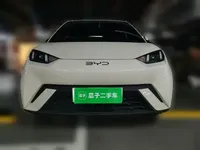 BYD Seagull 2024 (10300 км)