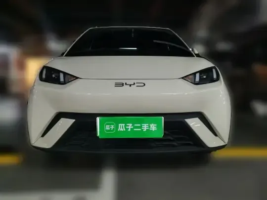 BYD Seagull 2024 (10300 км)