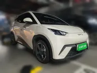 BYD Seagull 2024 (10300 км)