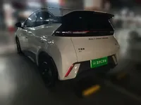 BYD Seagull 2024 (10300 км)