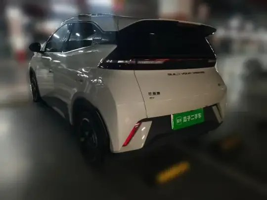 BYD Seagull 2024 (10300 км)