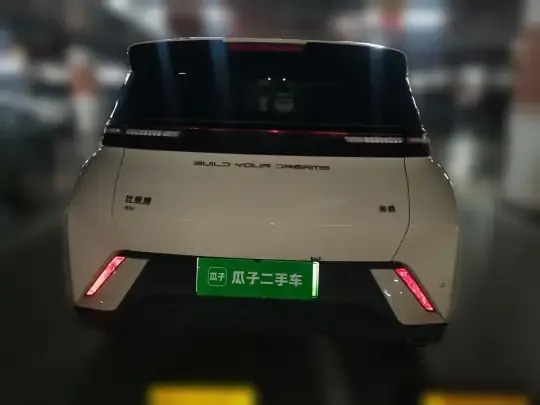 BYD Seagull 2024 (10300 км)