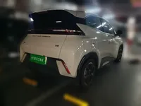 BYD Seagull 2024 (10300 км)