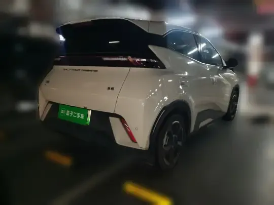 BYD Seagull 2024 (10300 км)