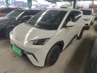 BYD Seagull 2024 (8000 км)